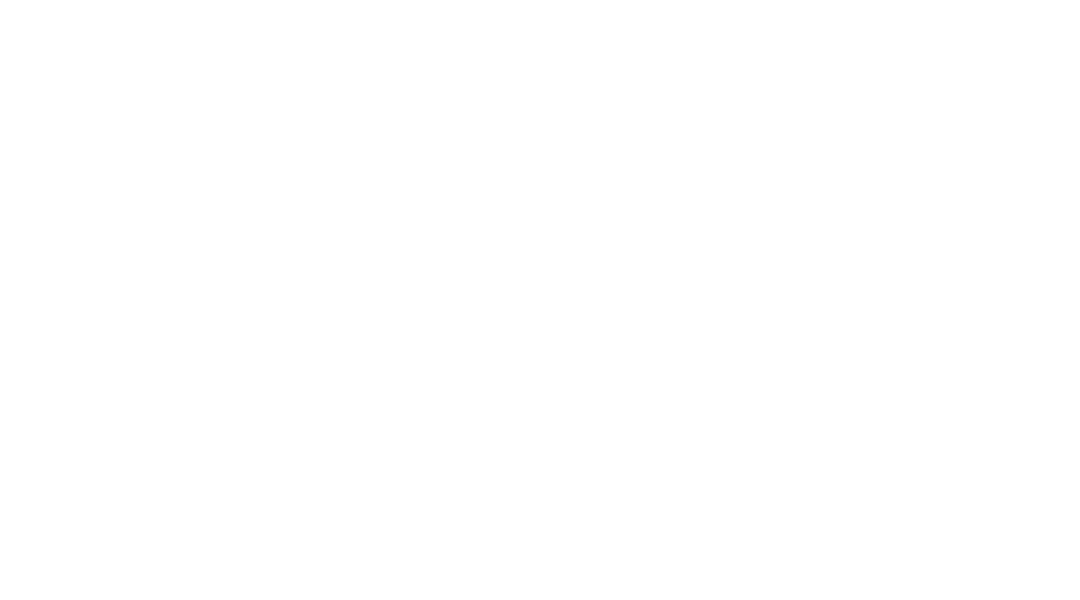 Princeton University